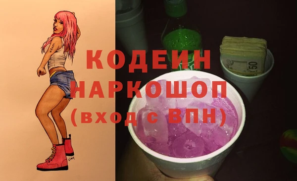 амф Елизово