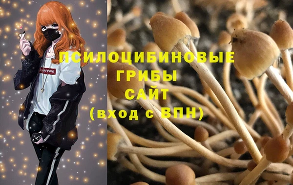 бошки Заволжск
