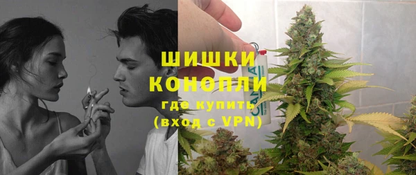 амф Елизово